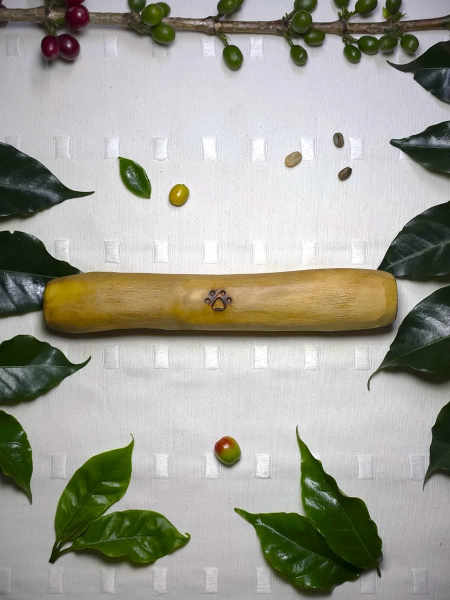 Palito de Café · Talla L