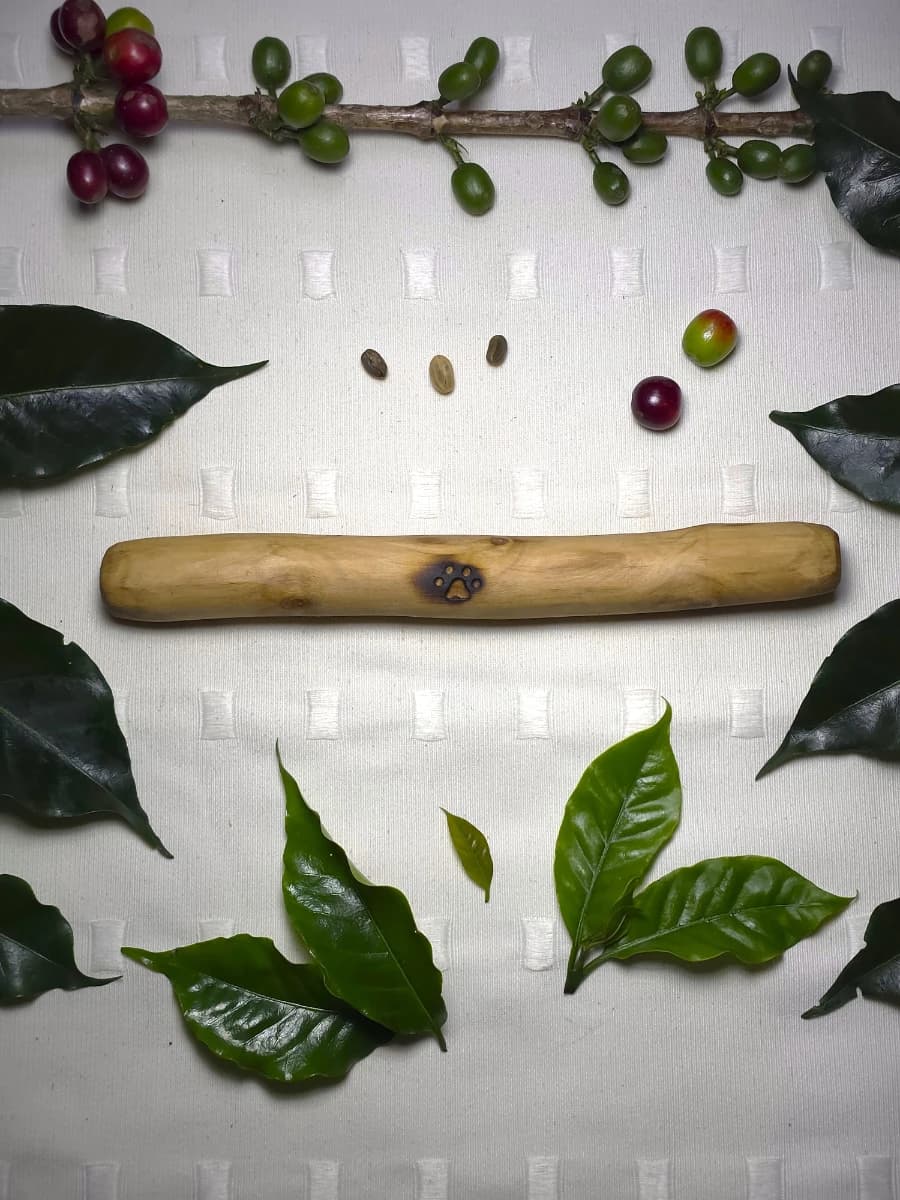 Palito de Café · Talla S